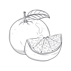 Frutas Cítricas para Colorir