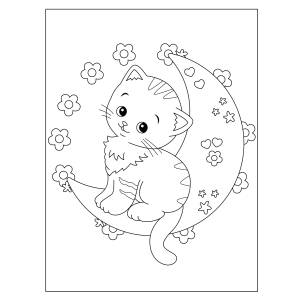 Gatinho da Lua Encantada