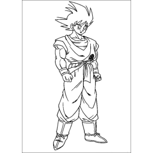 Goku em Sua Forma Icônica