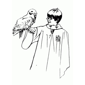 Harry e Hedwig: A Magia da Amizade