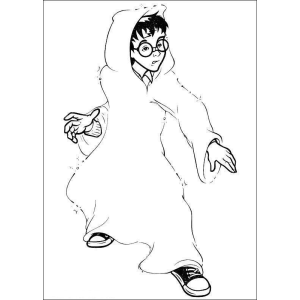 Harry Potter e a Capa da Invisibilidade