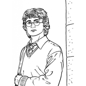 Explore o Mundo Mágico com Harry Potter