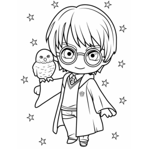 Encantadora Noite Mágica com Harry Potter e Edwiges