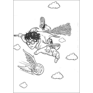 Harry Potter em Busca do Pomo de Ouro