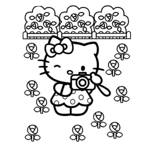 Hello Kitty no Jardim das Fotos