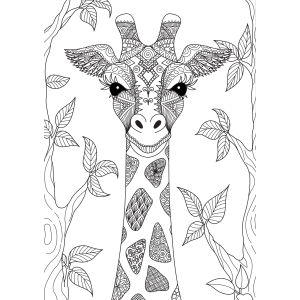 Hora de Colorir com a Girafa Mística