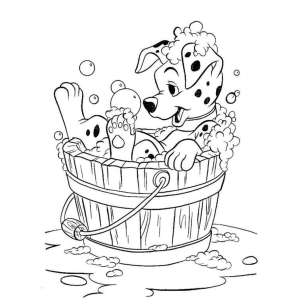 Hora do Banho com o Dalmatian