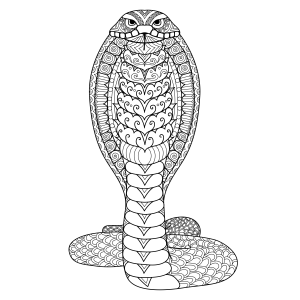 Intrincada Cobra para Colorir