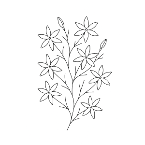 Jardim de Estrelas: Flores para Colorir