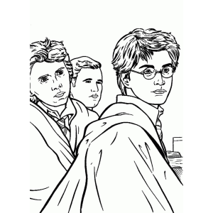 Jovens Bruxos em Hogwarts