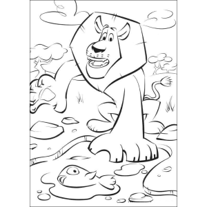 Leão Aventureiro em Madagascar