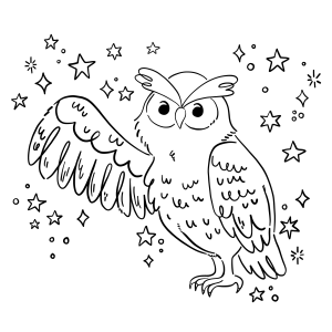 A Magia da Coruja Estrelada