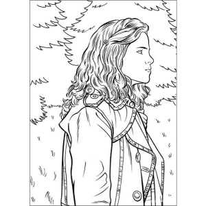 A Magia de Hermione Granger