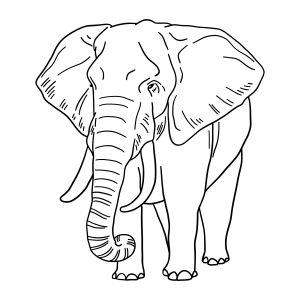 A Magia do Elefante em Traços Artísticos