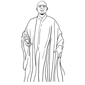 A Magia Sombria de Voldemort