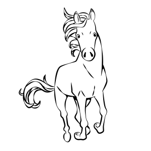 Magnificent Horse Sketch