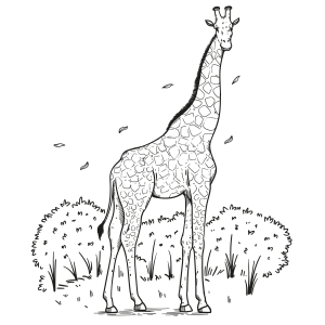 A Majestade das Girafas