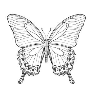 Majestic Butterfly Coloring Adventure