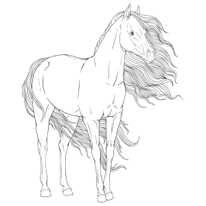 Majestic Horse Design