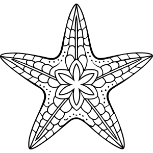Mandala da Estrela do Mar Reluzente