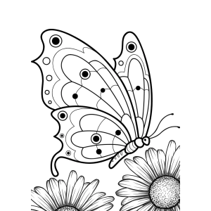 Mariposas e Margaridas