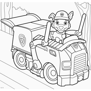 Patrulha Canina na Aventura: Pronto para Colorir!