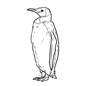Pinguim: Pronto para Aventuras no Gelo