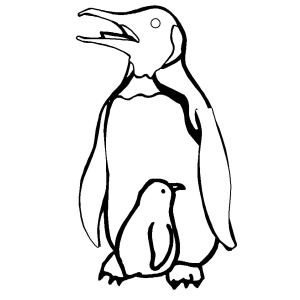 Pinguins Adoráveis à Espera de Cor