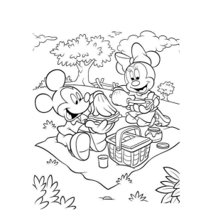 Um Piquenique Encantado com Mickey e Minnie