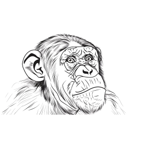 Retrato do Macaco Pensativo