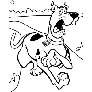 Scooby-Doo em Ação!
