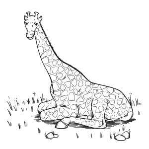 A Serenidade da Girafa Descansando