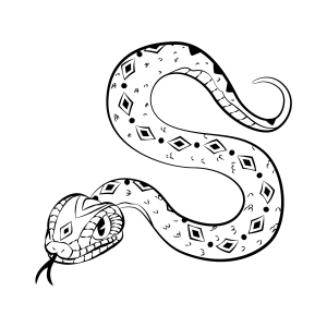 Serpente Desenhada