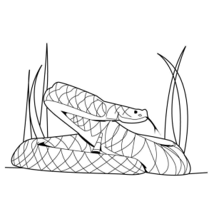 Serpente no Jardim