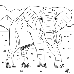 A Tranquilidade do Elefante em Seu Habitat