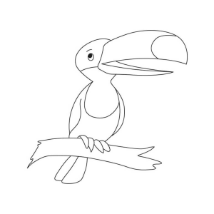 Tucano de perfil com bico grande para colorir