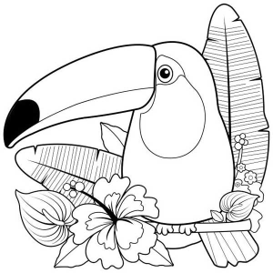 Tucano entre flores e frutas para colorir
