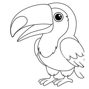 Tucano sorridente de bico grande para colorir
