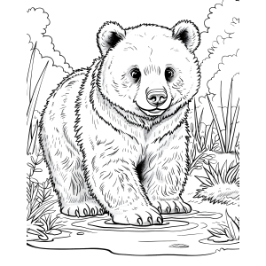 Urso Aventureiro no Bosque