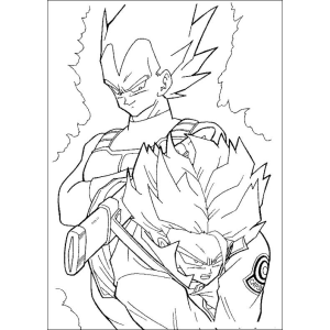 Vegeta e Trunks em Ação