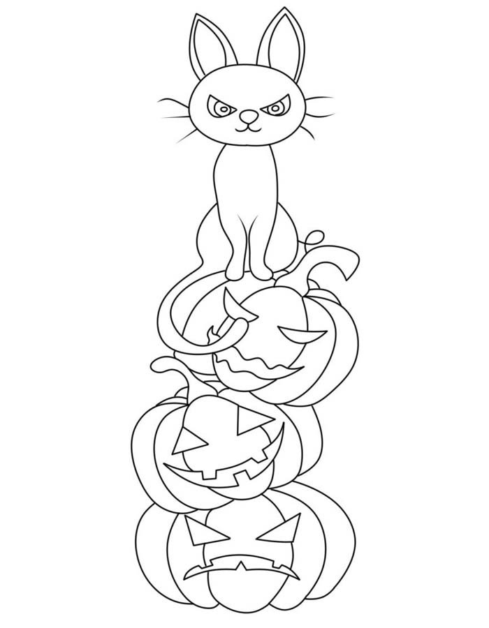 Torre de Abóboras e o Gato Misterioso