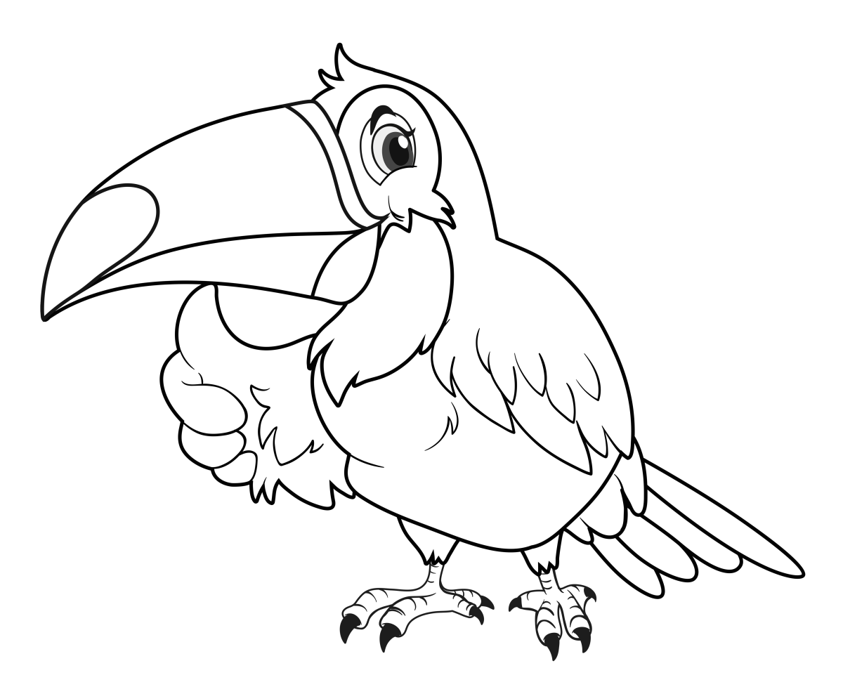 Desenho de Tucano curioso com a cabeça inclinada para imprimir e colorir