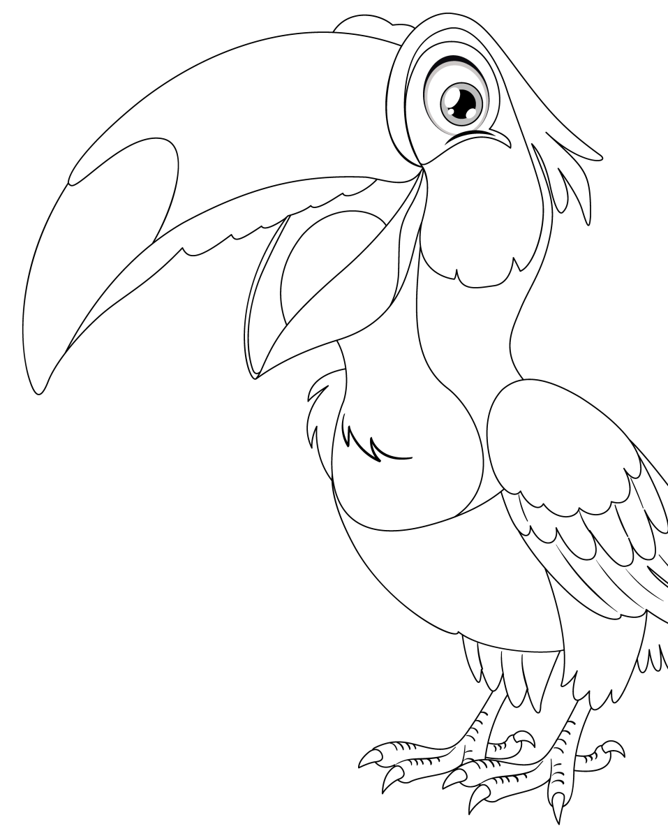 Desenho de Tucano de lado com traço fino para imprimir e colorir
