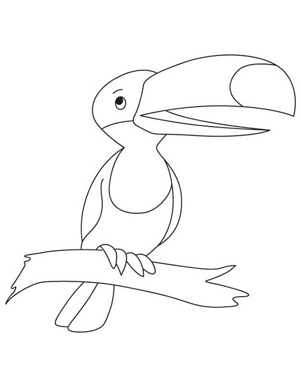 Desenho de Tucano de perfil com bico grande para imprimir e colorir
