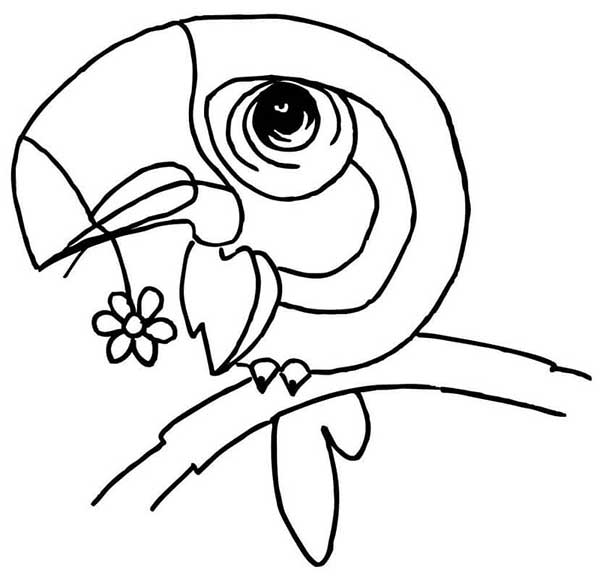 Desenho de Tucano fofo segurando uma flor para imprimir e colorir