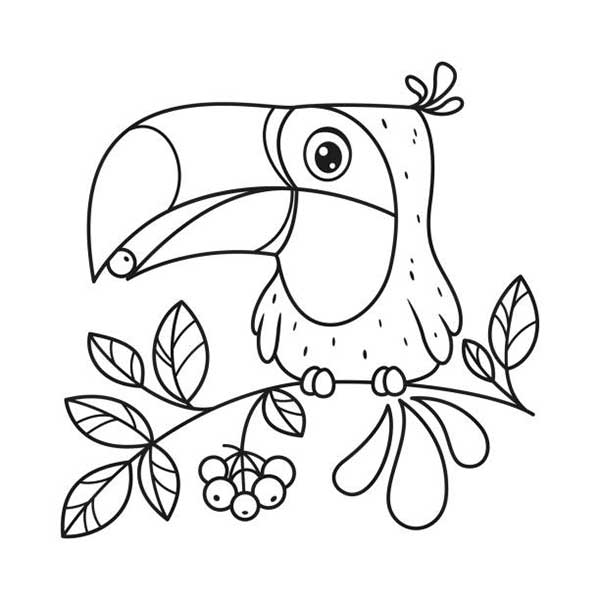Desenho de Tucano no galho florido para imprimir e colorir