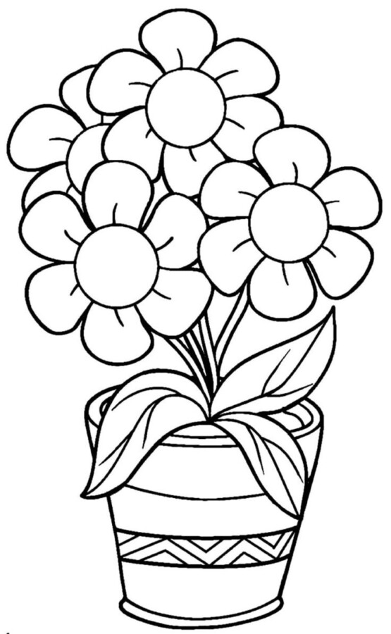Vibrante Pote de Flores