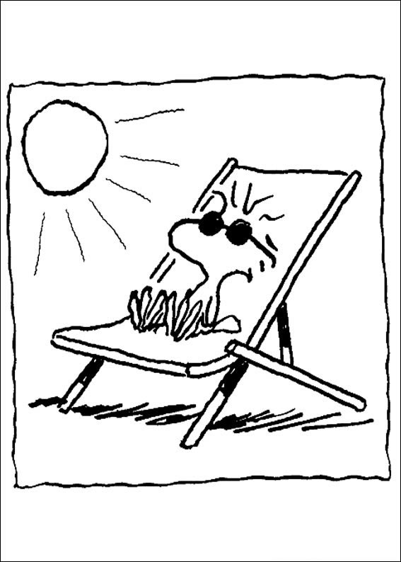 Woodstock's Sunny Relaxation